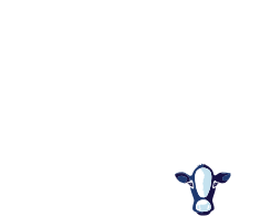 50% more protein vs. leading brand