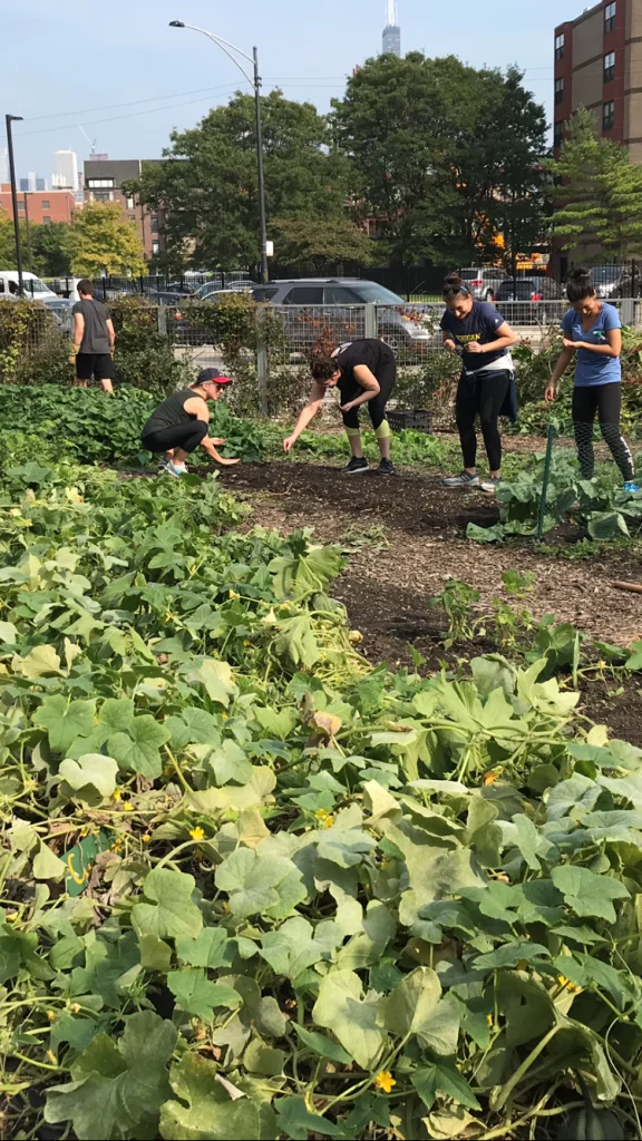  2019/09/Volunteering-9.20.19-2.png 