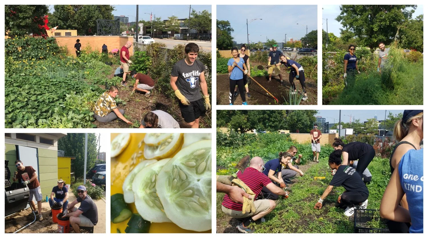  2019/09/Volunteering-9.20.19-Collage-e1569357459501.jpg 